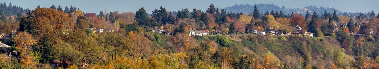 fall trees with town in back